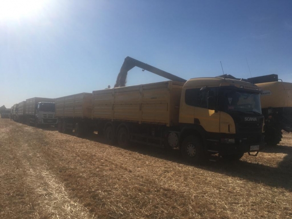 Grain truck LLC "ABTrans"
